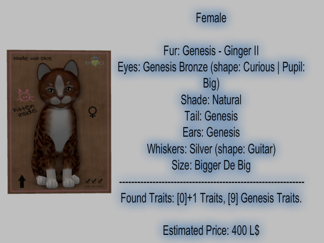 KittyCatS Box - New Born Kitten-Female