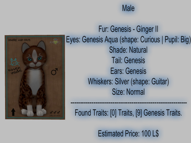 KittyCatS Box - New Born Kitten