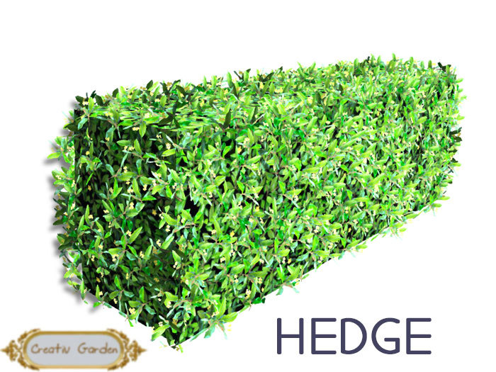 Creativ Garden Hedge