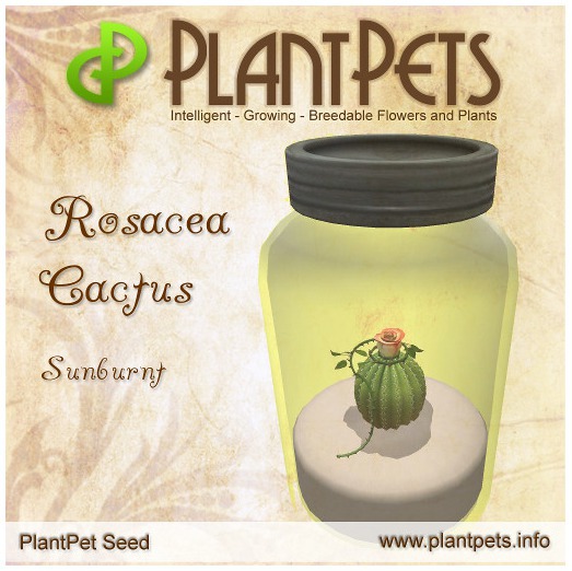 PlantPet Seed [Rosacea Cactus *Sunburnt*]