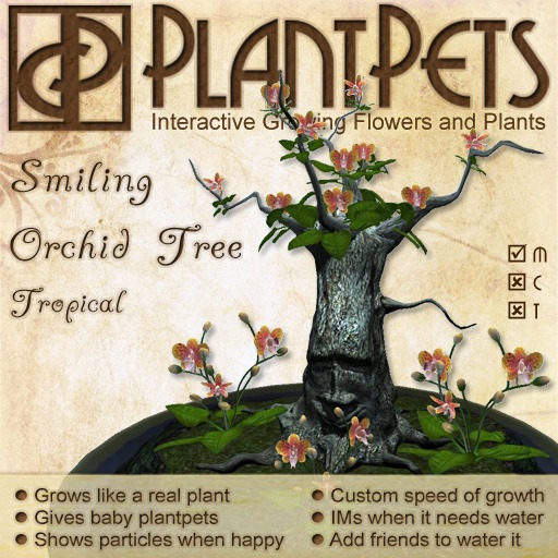PlantPet Seed [Smiling Orchid Tree *Tropical*]