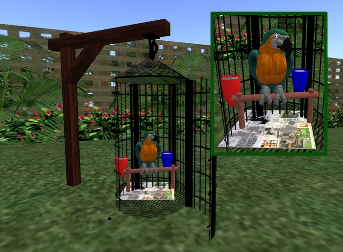 Bird cage