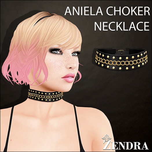 Aniela Choker Necklace