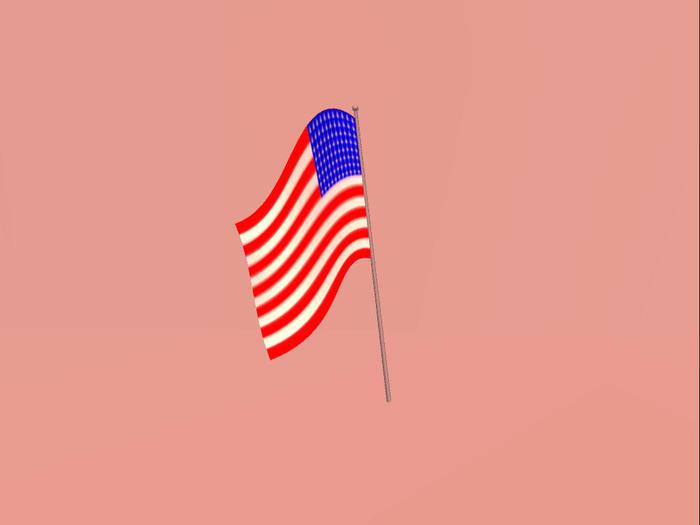 USA flag on pole FP (boxed)