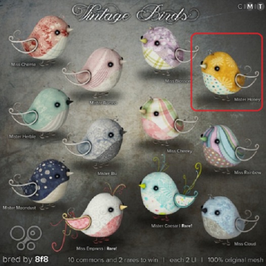 8f8 - Vintage Birds - Mister Honey (Boxed)