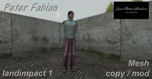 Peter Fabian mesh BOX