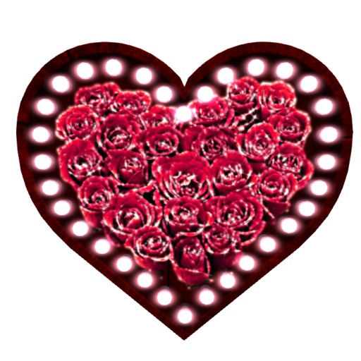 Sparkling Roses Lighted Heart Wall Art Boxed