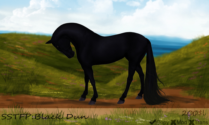 .:SSTFP:.~WHBRH~ Black Dun