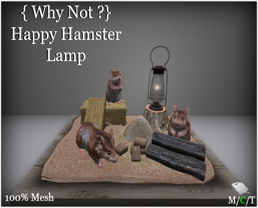 { Why Not ?} Happy Hamster Lamp-Boxed