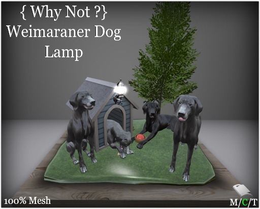 { Why Not ?}Weimaraner Dog Lamp-Boxed