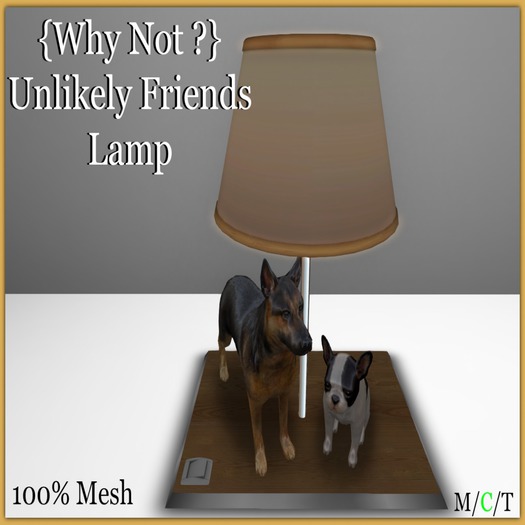 {Why Not ?} Unlikely Friends Lamp - Boxed
