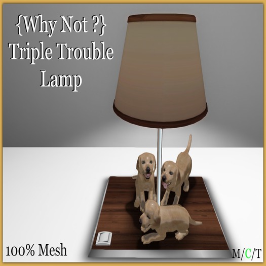 {Why Not ?} Triple Trouble Lamp-Boxed