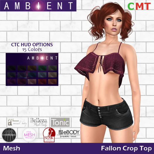 [AMBI] Mesh Fallon Crop Top (BOXED)