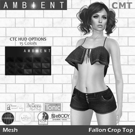 [AMBI] DEMO Mesh Fallon Crop Top (BOXED)