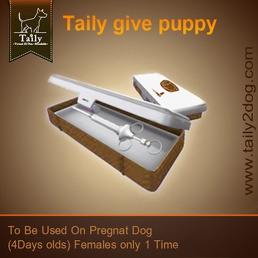 Taily Give Puppy