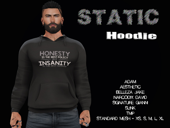 STATIC Hoodie - Honesty Insanity