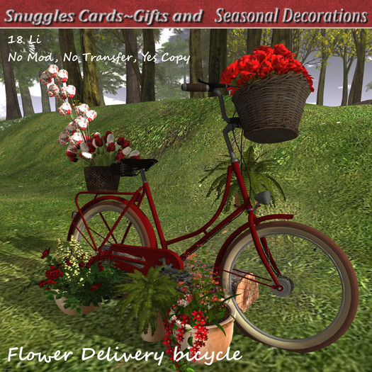 Flower Delivery bicycle By Snuggles Boxed