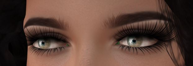 LOTUS. Duality Eyes 05 BOX