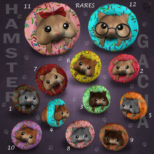 #187# HAMSTER -11- Miss Hamie RARE