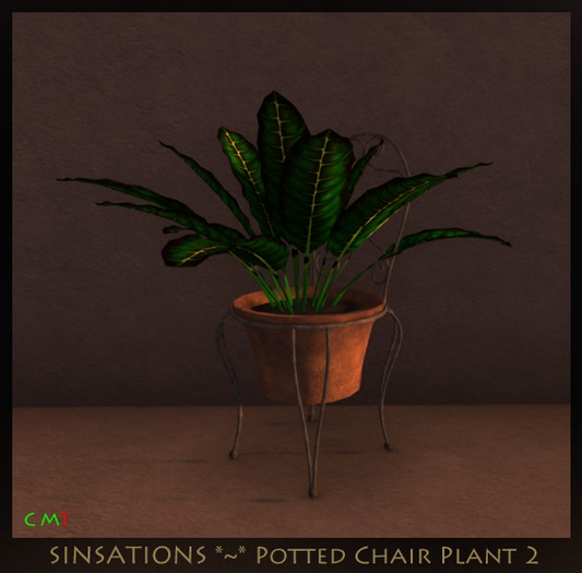Sinsations_Potted Chair Plant(BOXED)