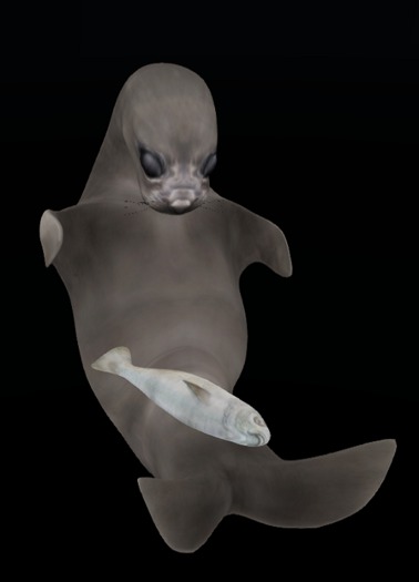 Pewpew! Seal Fatty RARE