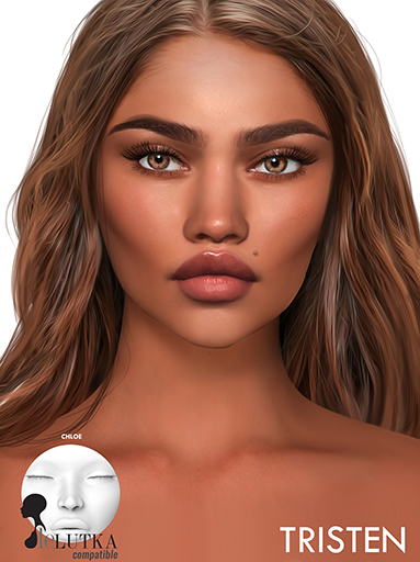 Revoul Lefort.Tristen Lelutka Applier in Tone 5