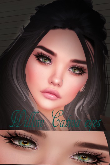 Willow Catwa eye app