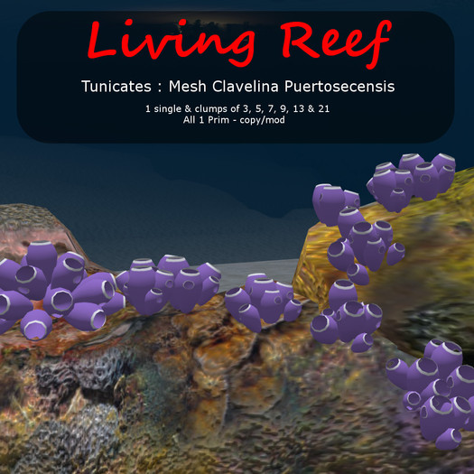 Inochi Reef : Mesh Tunicate ""