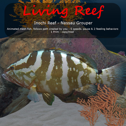 Inochi Reef : Mesh Fish - 