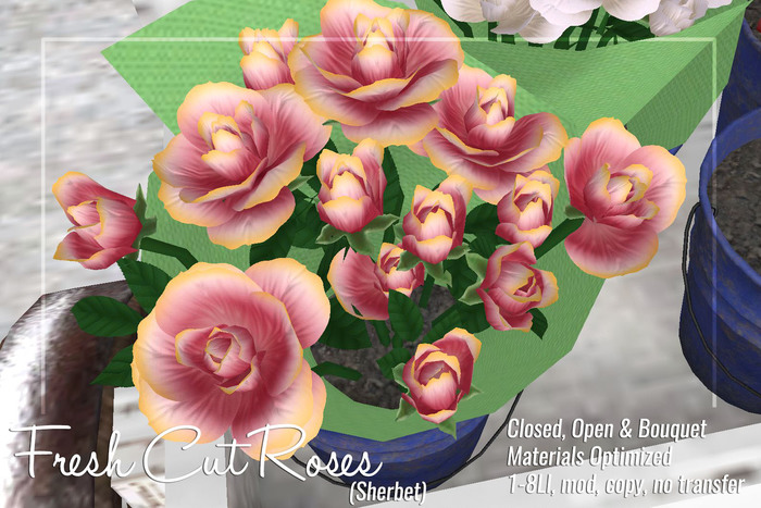 [ Organica ] Fresh Cut Roses (Sherbet)