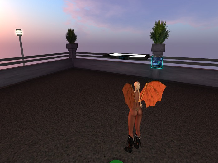 Apotheosis_Immoline_wing