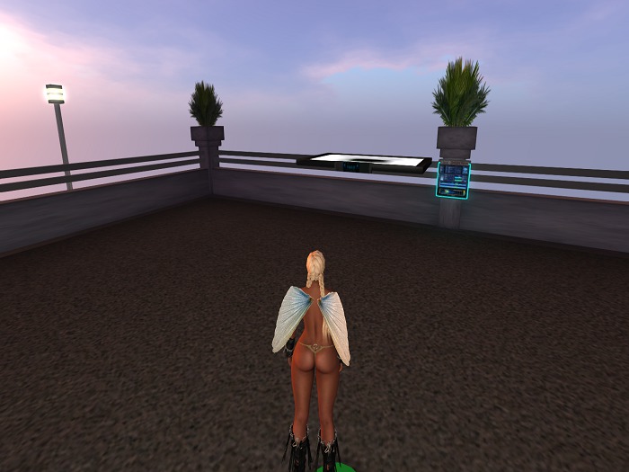 blue/white dragonfly angelshape wings