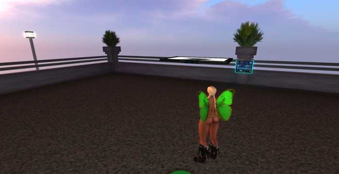 Bright Green Wings