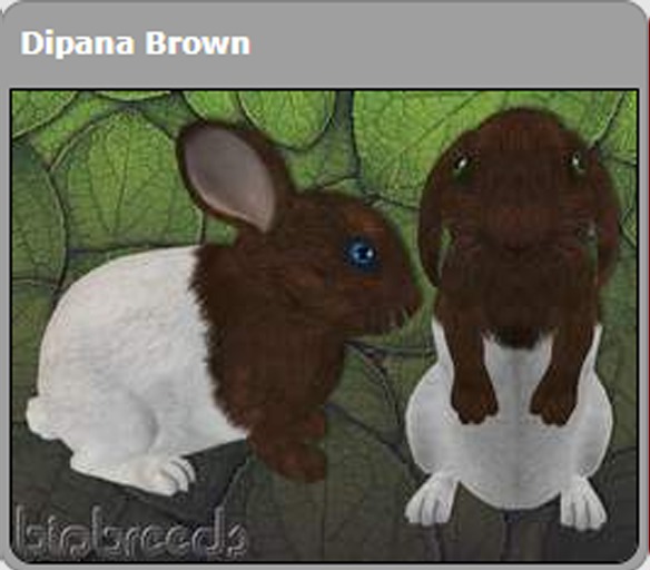 BB Bunny Box - Dipana Brown Large