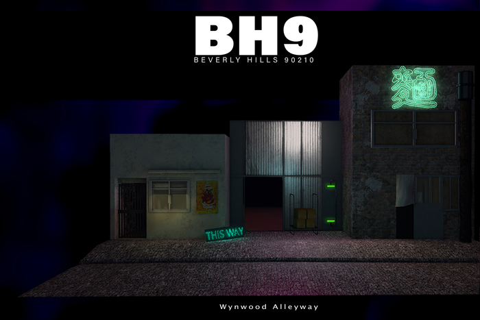 [BH9] Wynwood AlleyWay