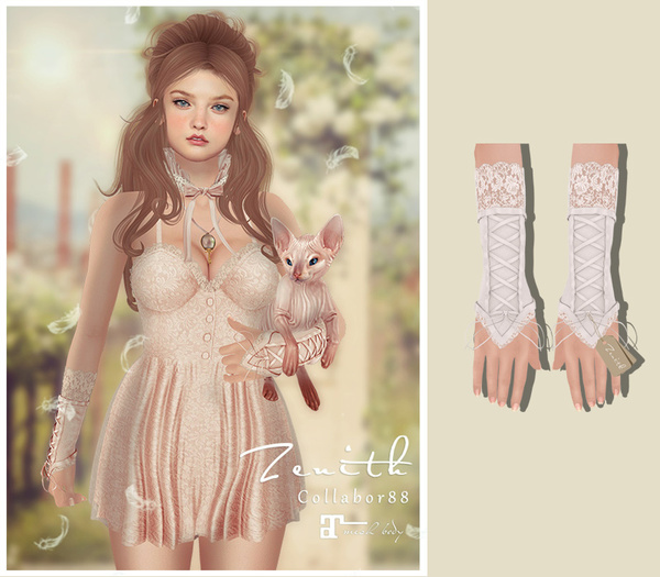 =Zenith=Victoria lace glove (White) -Lara