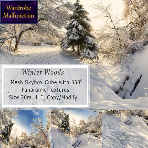~WM~ Winter Woods Skybox, 20m (C/M)