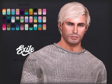 Exile - Boy Next Door - Wild Fusion