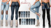 Blueberry - Sammy Jeans - Fat Pack