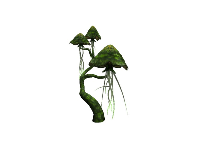 Mushroom Fantasy