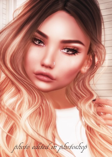 Gaige Lona bento shape