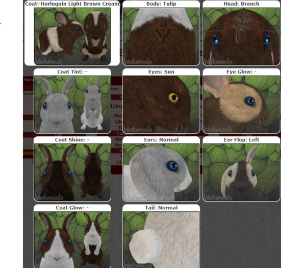 BB Bunny Box-♂M-Harlequin Light