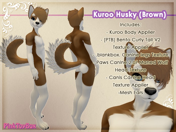 [PTB] Brown Husky Kuroo Box