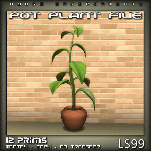 Plant