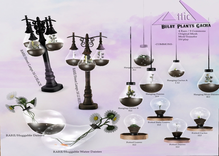 -ATTIC- Bulby Plants Potted Daisies 1 LI