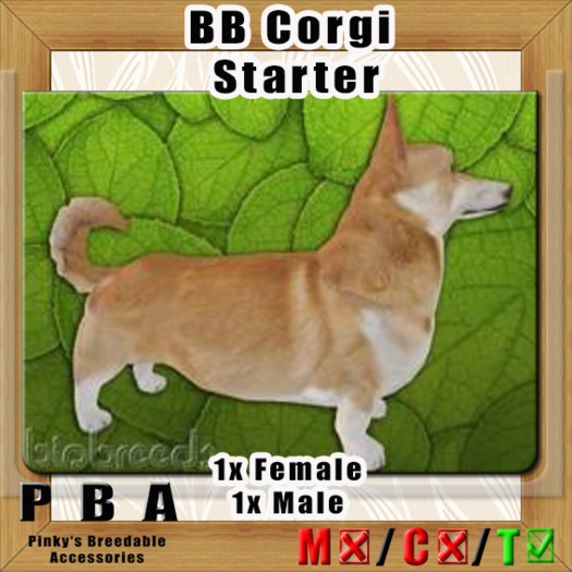 BB Corgi Pair Starter
