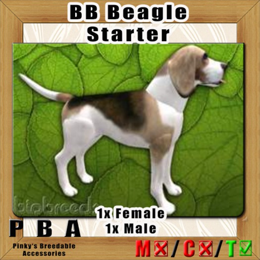 BB Beagle Pair Starter