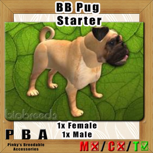 BB Pug Pair Starter