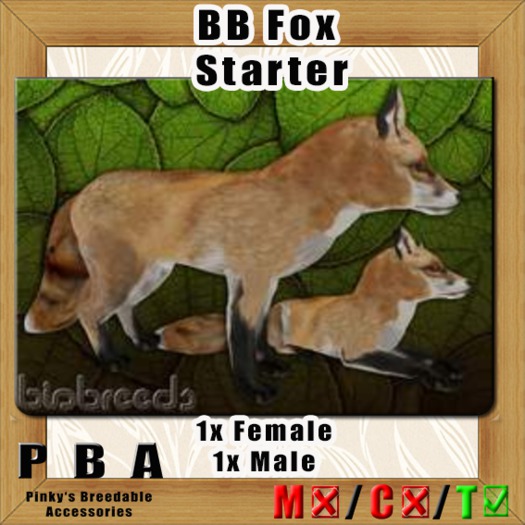 BB Fox Starterbox