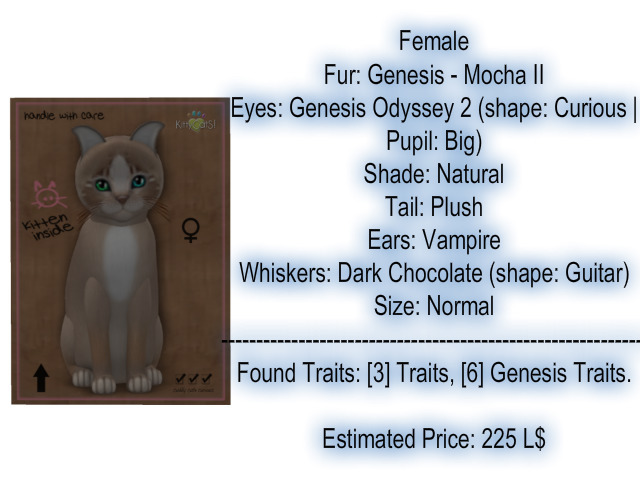 KittyCatS Box - New Born Kitten 19